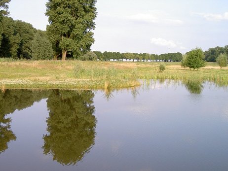 Klicken sie auf das Photo, um das Original zu sehen